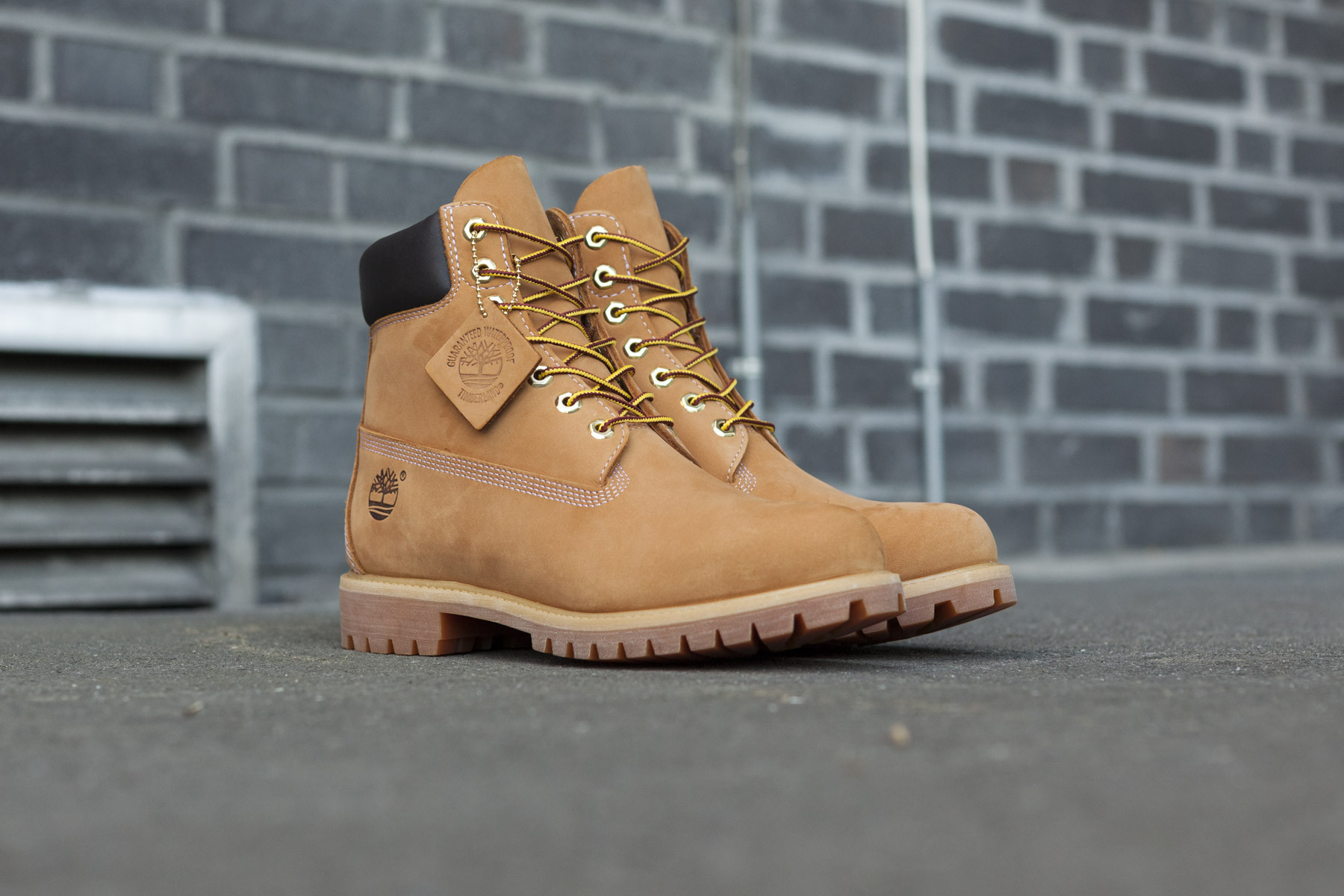 timberland af 6 inch premium boot wheat wheat